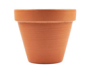 Plant pot